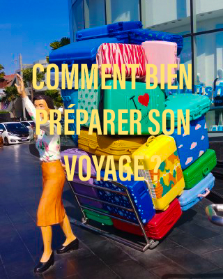 Comment bien préparer son voyage